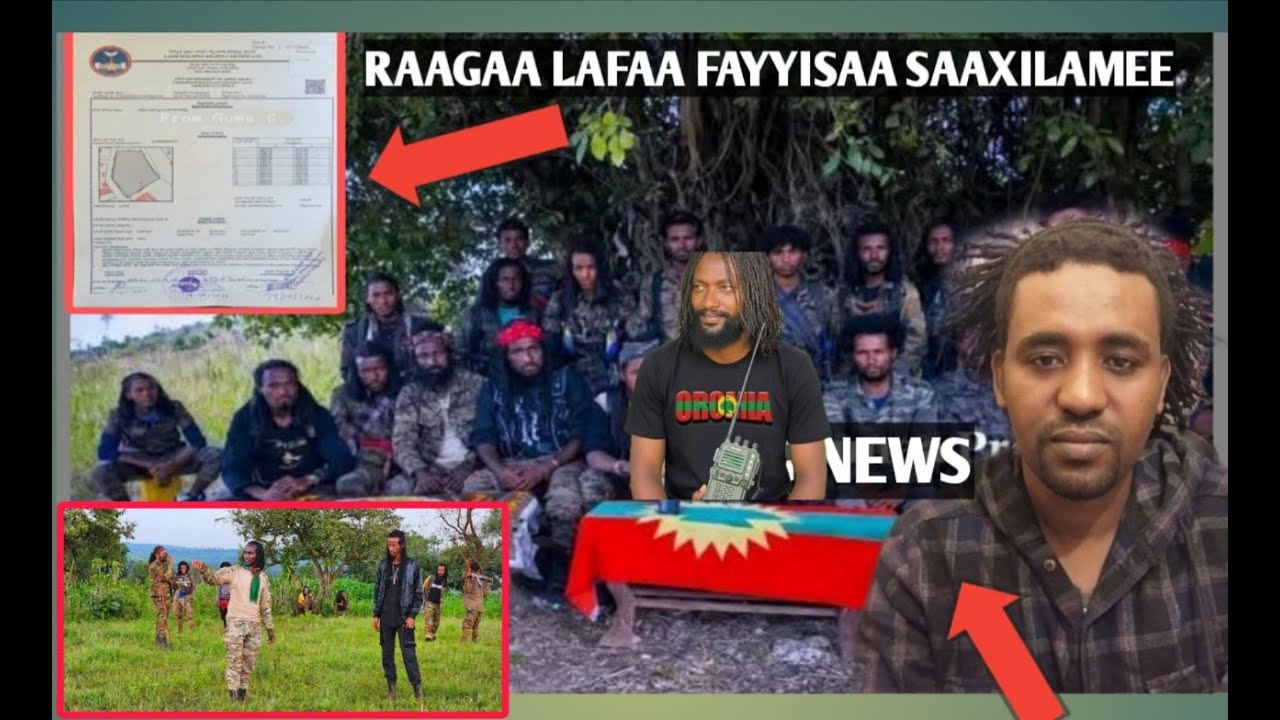 Oduu ammee GIDDUGALEESSAAtti kooraa atatamaa ! Ragaa qabatamaa fayyisaa irratti argame,dhaamsa dirre