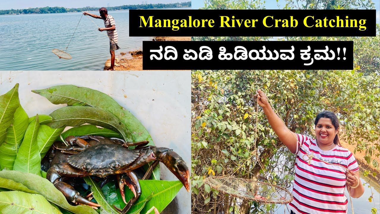 River Crab Catching At Mangalore | ನದಿ ಏಡಿ ಹಿಡಿಯುವ ಕ್ರಮ | Mangalore Vlogs | Part -1