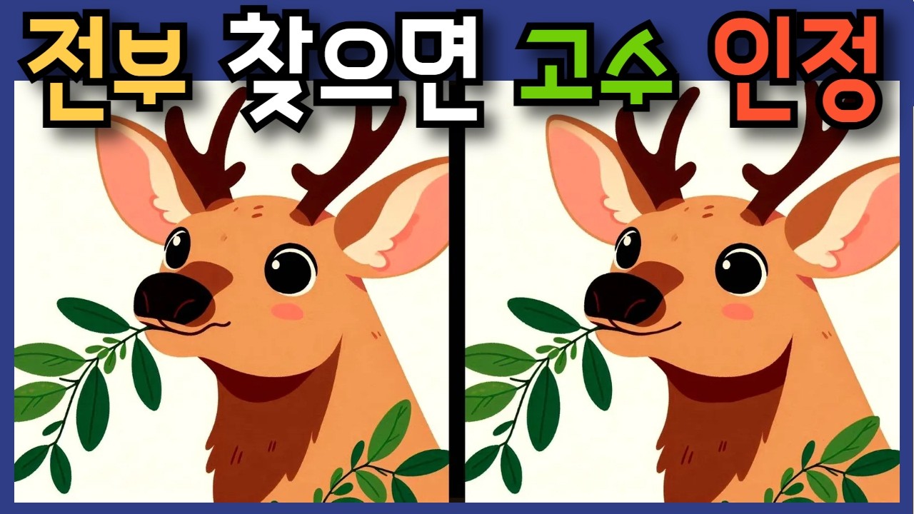 #349 정답을 한 개도 못 찾았다면 치매 위험 #두뇌훈련 #치매예방퀴즈 #틀린그림찾기 #다른그림찾기