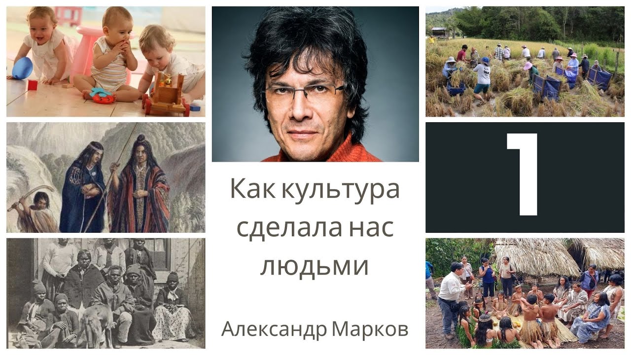 Как культура сделала нас людьми  Часть первая