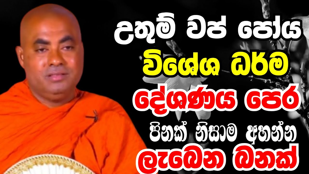 වප් පෝයදින විශේශ ධර්ම දේශනාව පෙර පිනක් නිසාම අහන්න ලැබෙන බනක්  | Ven koralayagama saranathissa thero