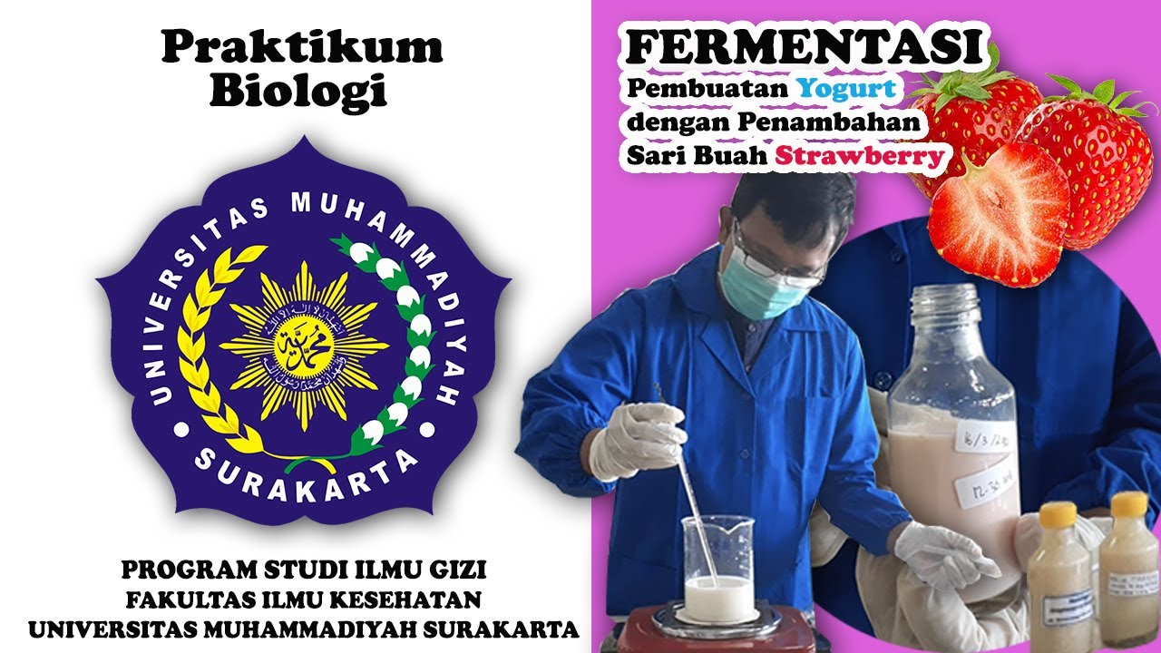 Fermentasi | Pembuatan Yogurt Strawberry | Ilmu Gizi UMS