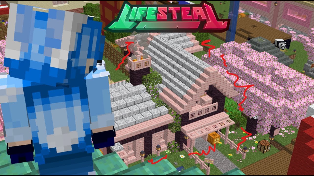 Collateral Damage | Lifesteal SMP ******