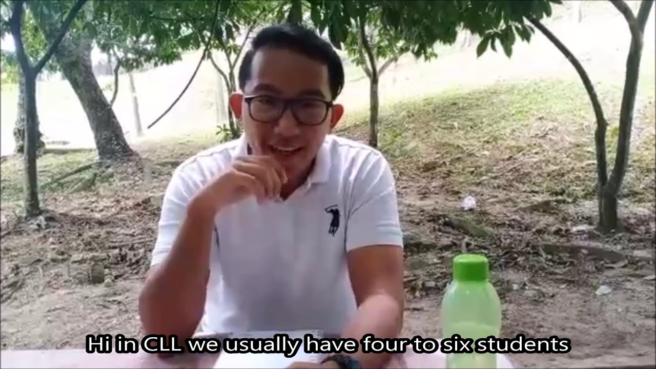 Community language learning (CLL)