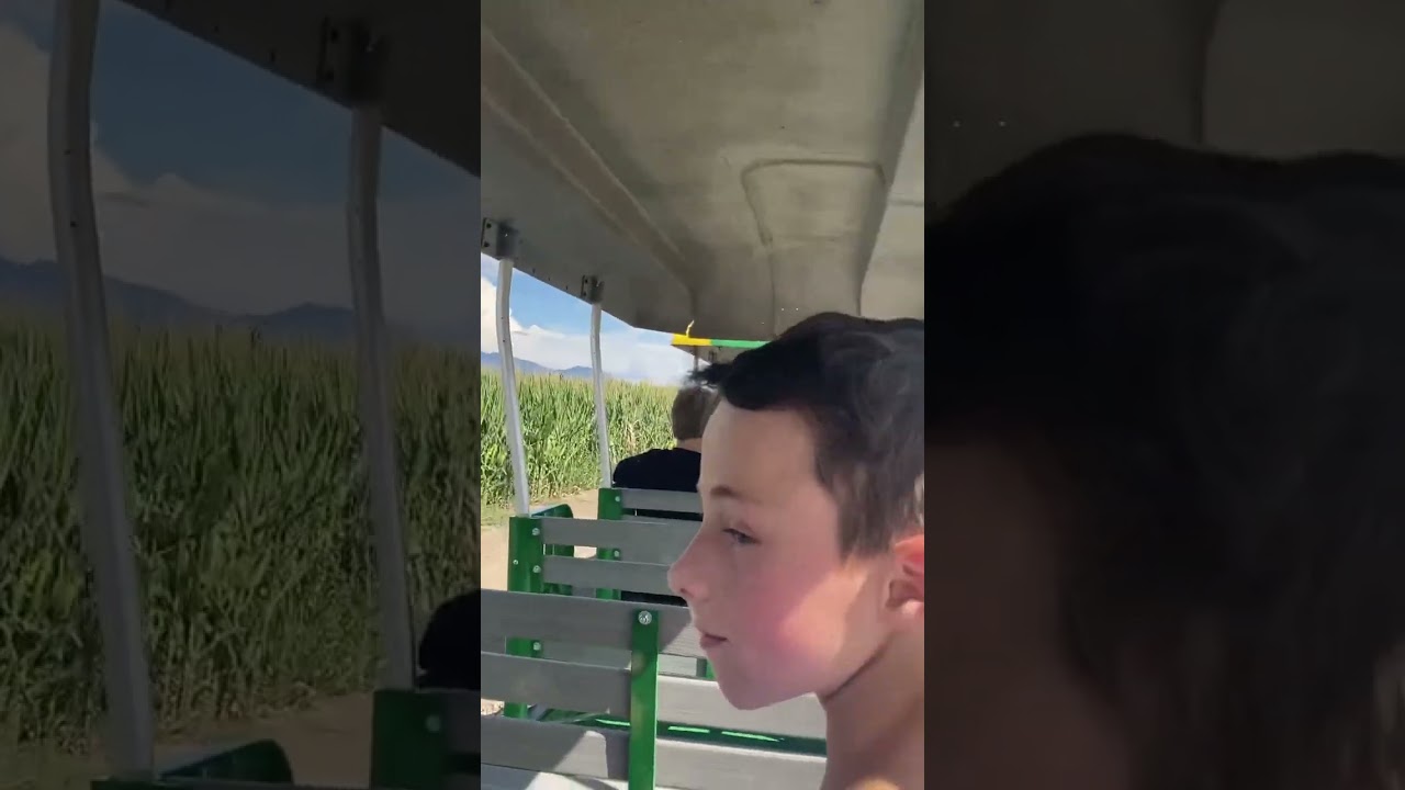 Cornbellys Sunflower Festival Part 10🌻🎃🚂