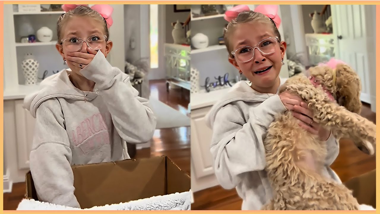 New Puppy Surprise Compilation 2025 | Wholesome Surprise Moments