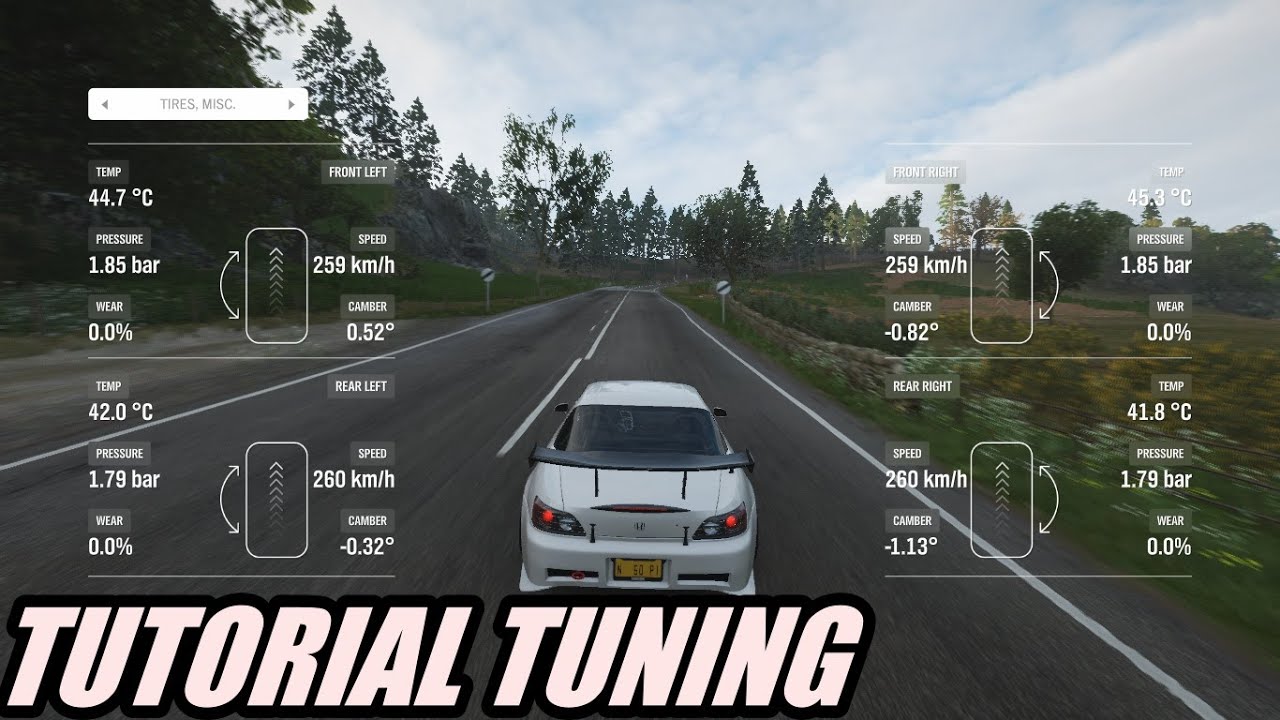 РУКОВОДСТВО ПО НАСТРОЙКЕ В FORZA HORIZON 4