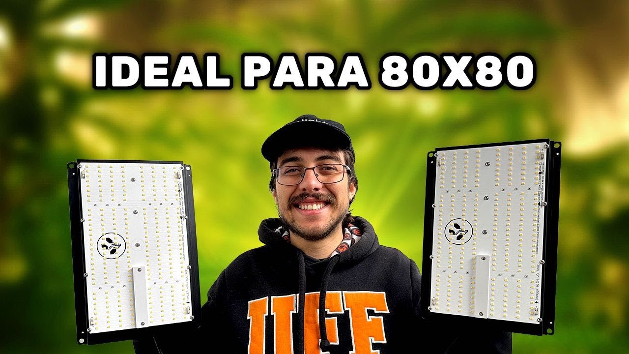Medi&ccedil;&atilde;o PPFD Quantum Board  LM301H 240w