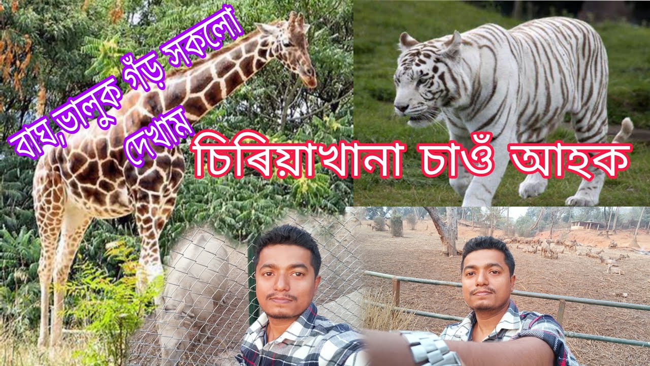 চিৰিয়াখানা দেখাম//অসম ৰাজ্যিক চিৰিয়াখানা আৰু উদ্ভিদ উদ্যান//Gauhati zoo