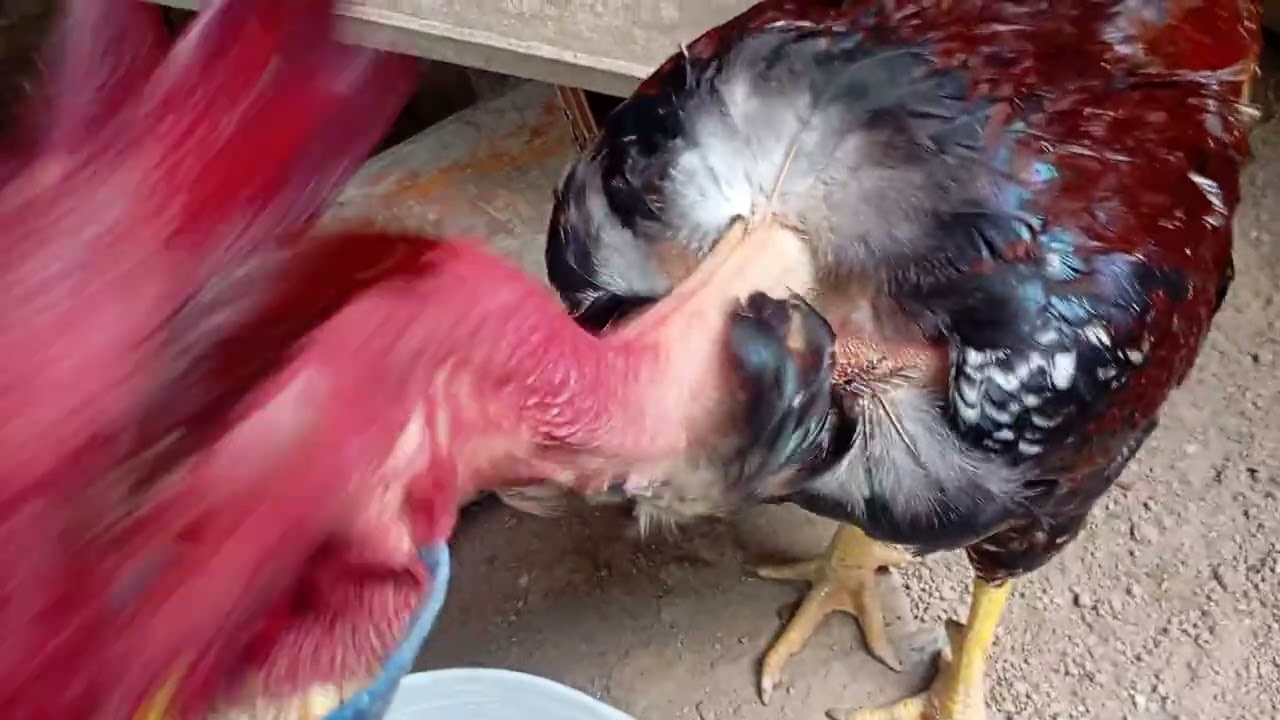 Na rotina do dia a dia 