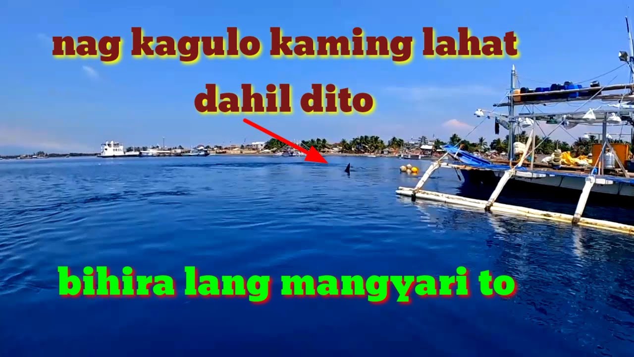 Nag kagulo kaming lahat dahil sa nag pakita samin