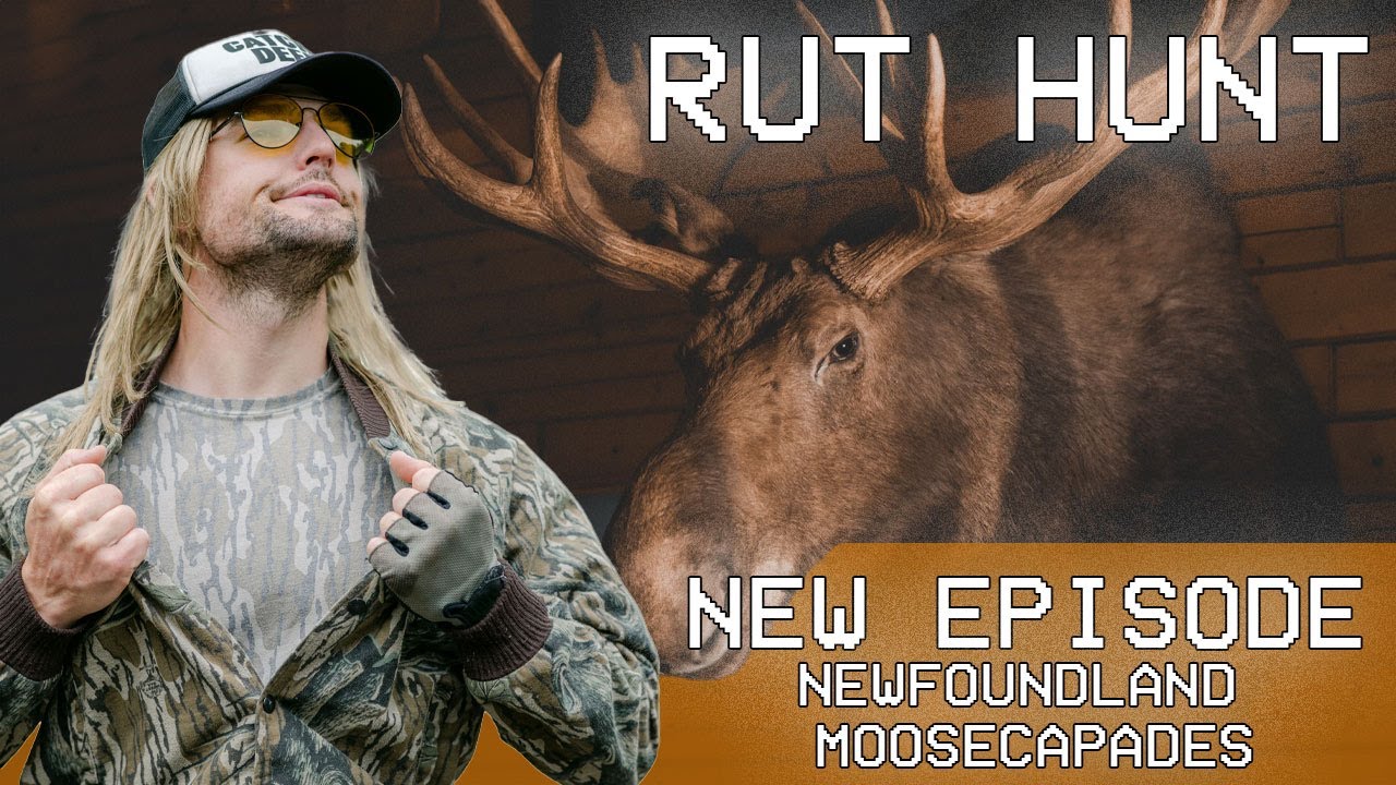 Rut Daniels Moose Hunt - Newfoundland Moosecapades