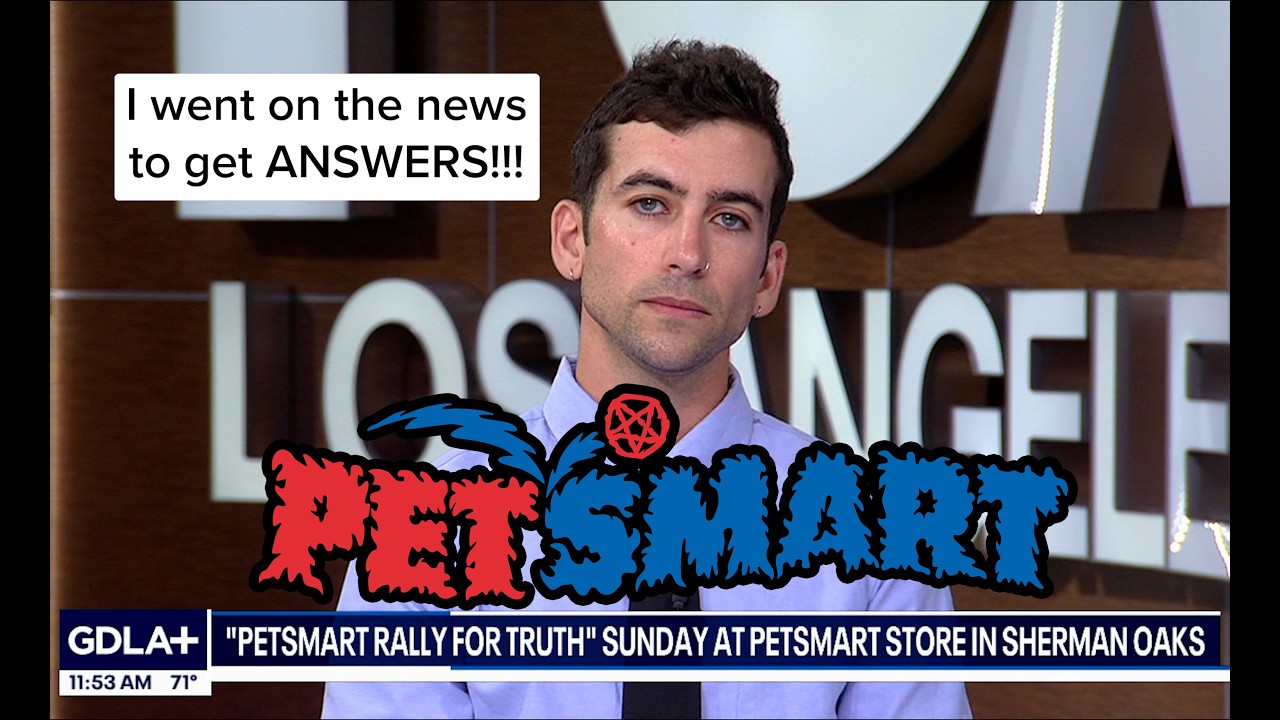 I went on the News to get ANSWERS about 