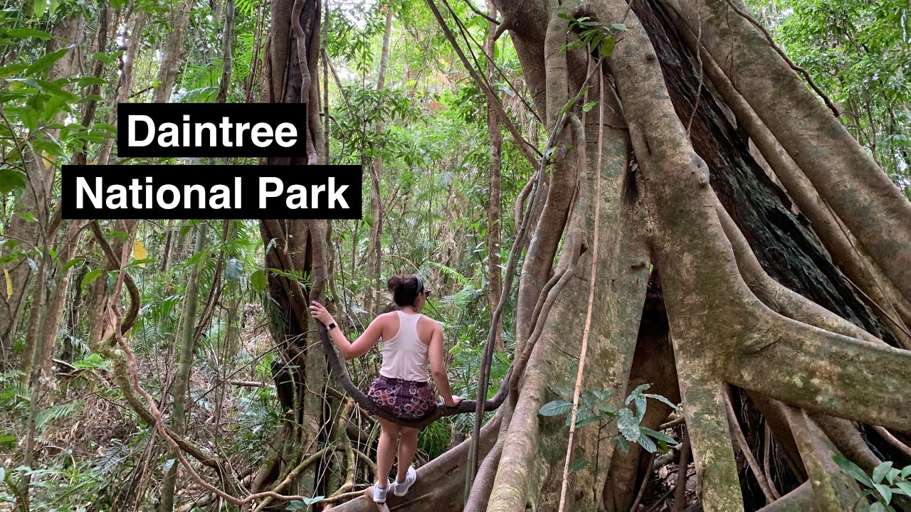 Daintree National Park | Mossman Gorge