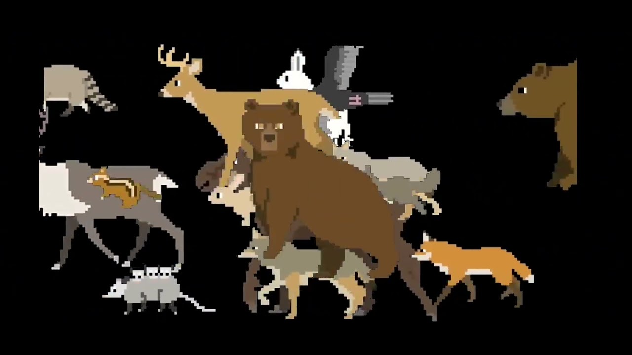 All north hemisphere animals edition- bears, arctic animals, and more @TheKidsPictureShow 