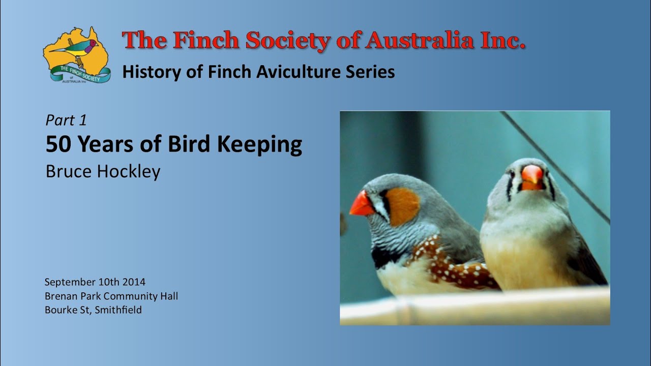 50 Years of Bird Keeping - Bruce Hockley