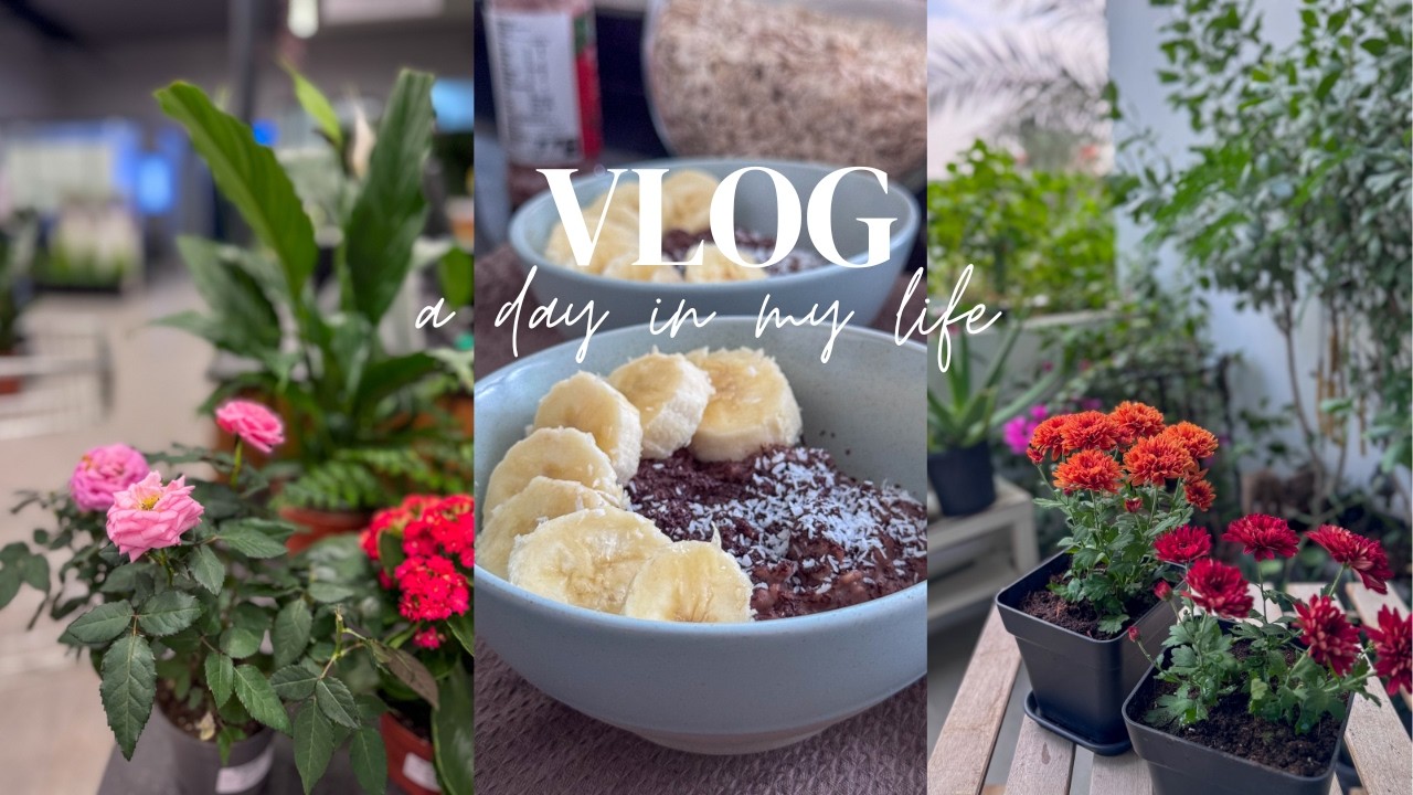 Calm day in December | Easy breakfast | New plants