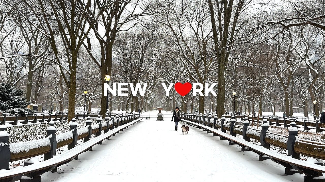 [4K]🇺🇸Нью-Йорк🗽☃️❄️ : Снежная утренняя прогулка в Центральном парке /16 января 2024 г.