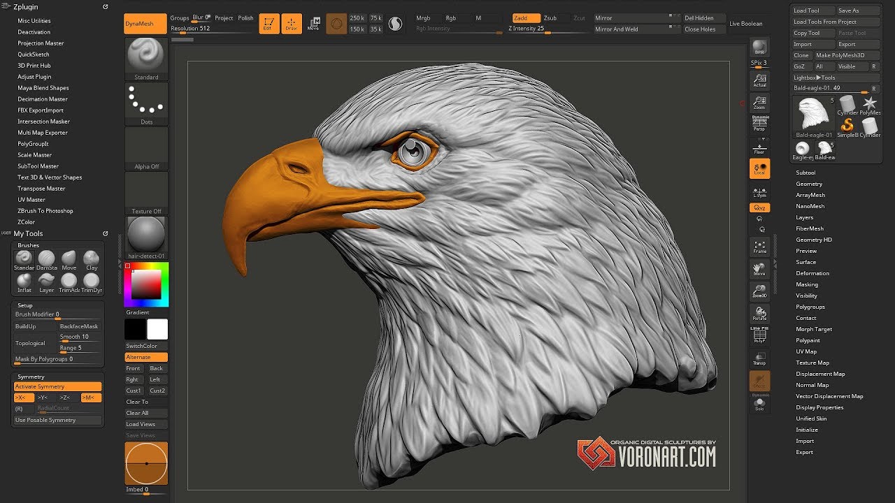 Скульптура головы орла в Zbrush, 3д модель, таймлапс