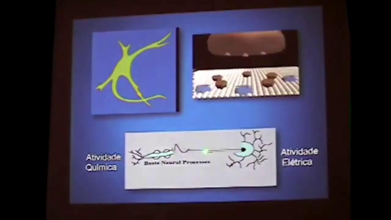 GVEEAP - DIA 13-03-2026 - PALESTRA DE NU8OR FACURE - NASCIMENTO E MORTE DO SSTEMA NERVOSO