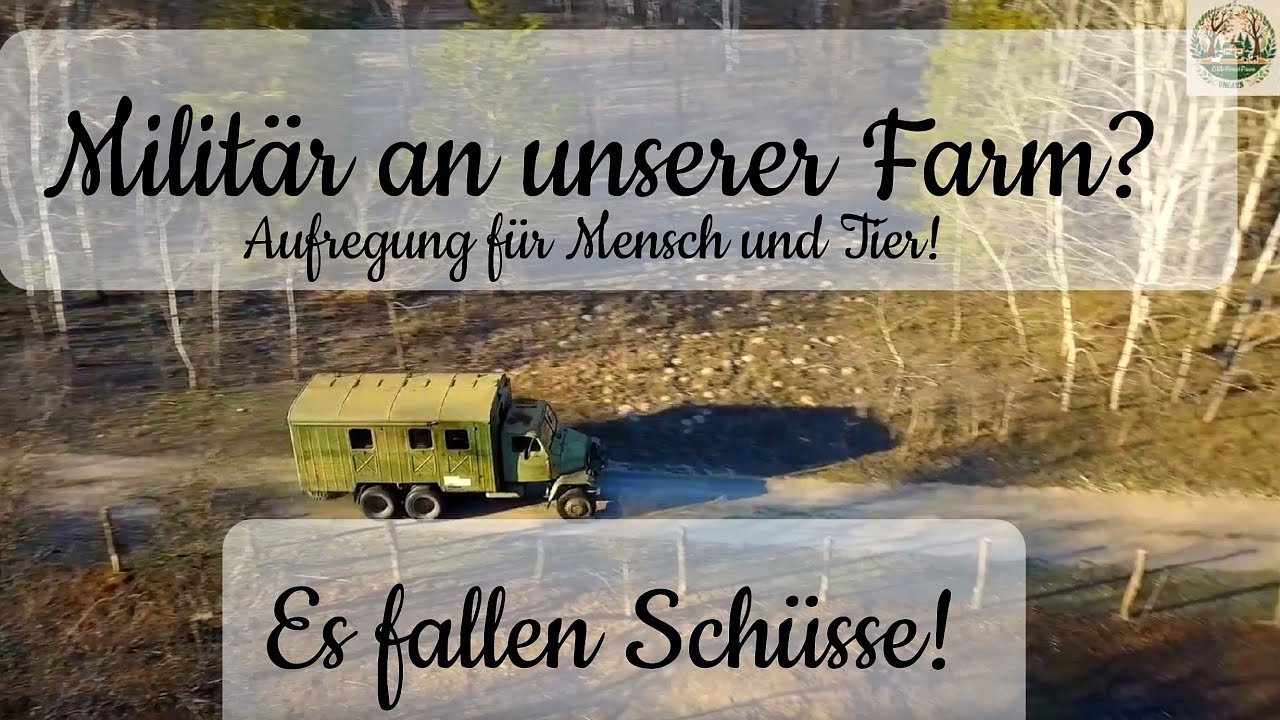 #TREIBJAGT! #MILITÄR und #SCHÜSSE an der Farm?😯 Was PASSIERT hier?#Ausgewandert nach#Ungarn🇭🇺