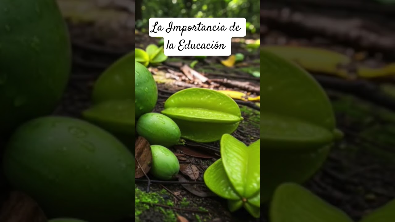 La importancia de la educaci&oacute;n