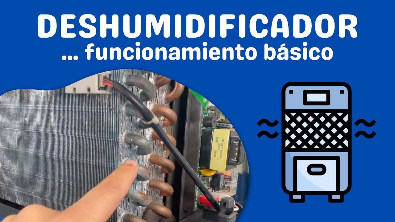 DESHUMIDIFICADOR - ¿Cómo funciona? SENCILLO y RÁPIDO
