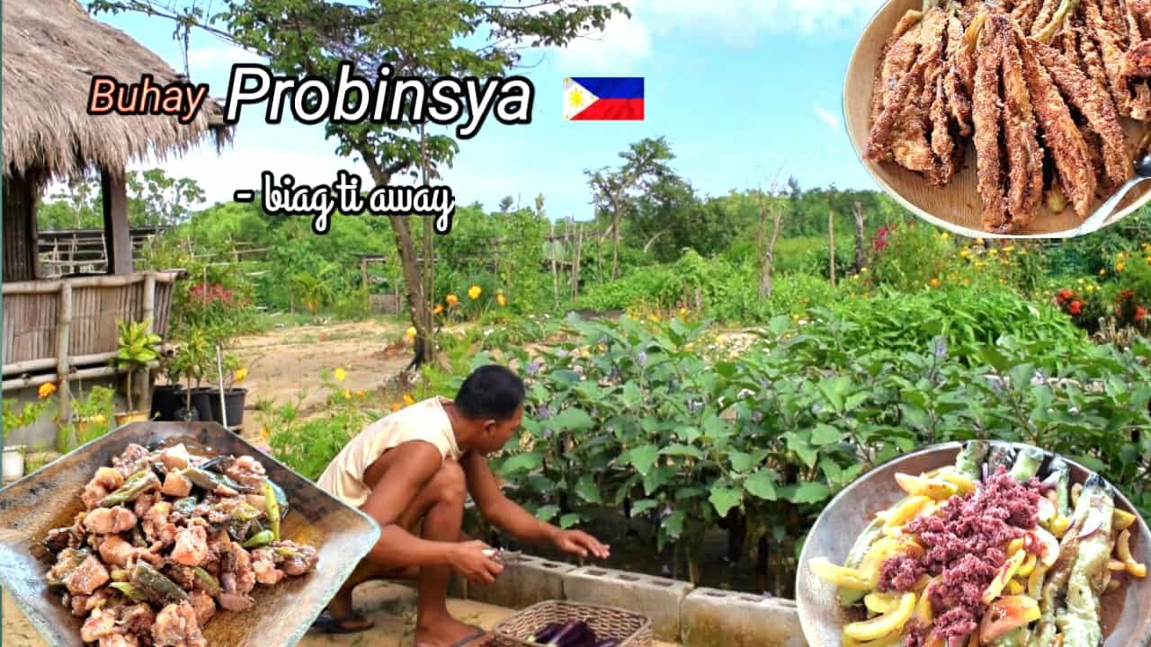 Наш маленький рай в провинции | Собираем баклажаны и калабасу и готовим разные блюда