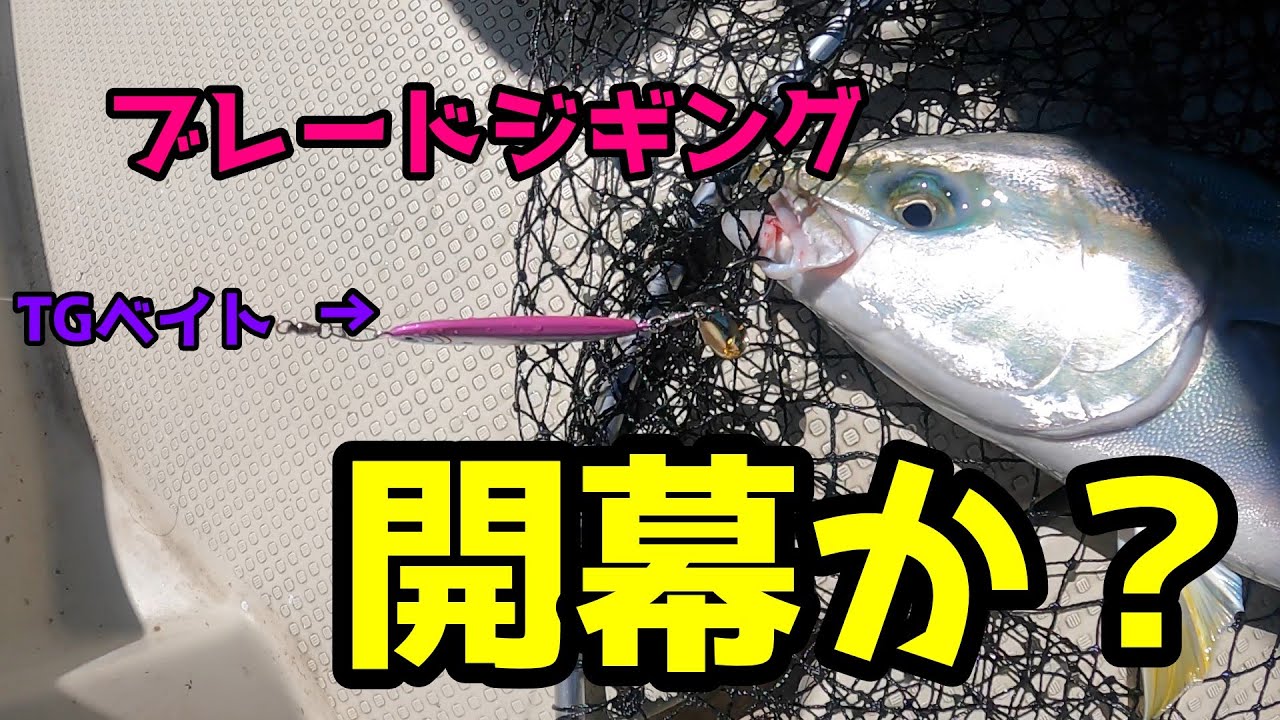 【岩国沖】SLJブレードジギングとジギングはこの時期どちらが釣れる？ライトジギング開幕か？