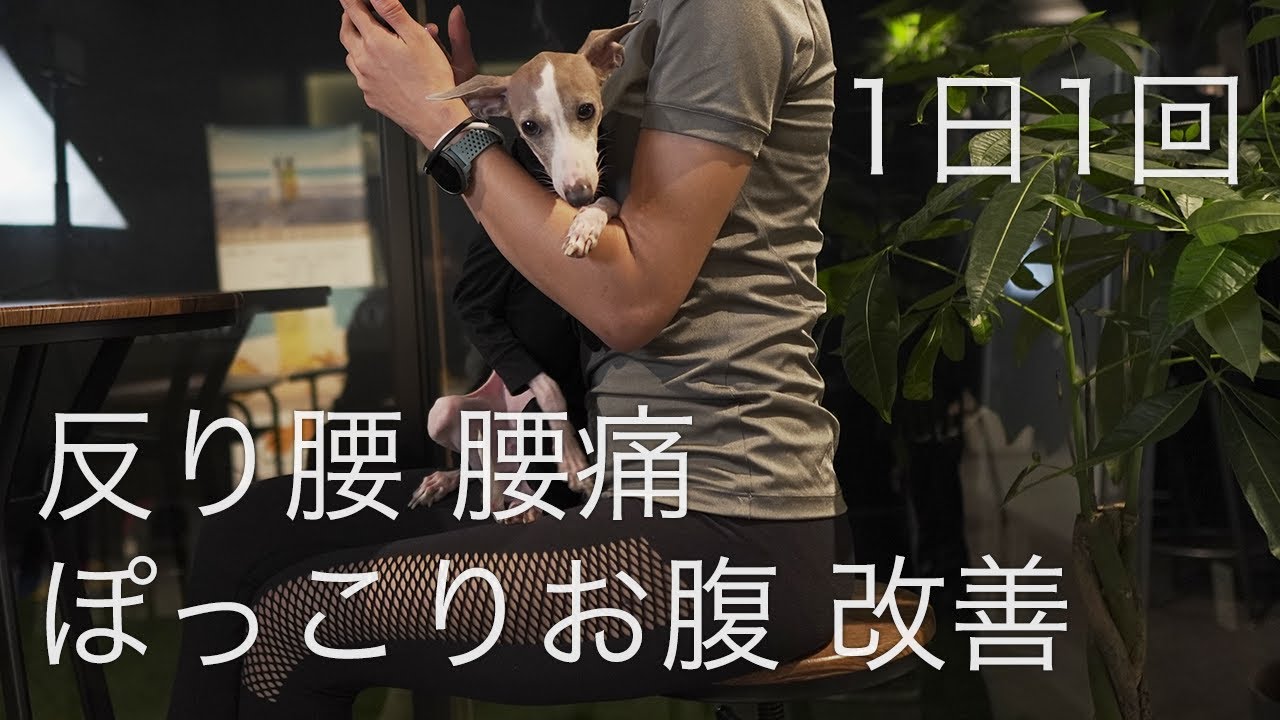 1日1回 反り腰改善  矯正ストレッチ