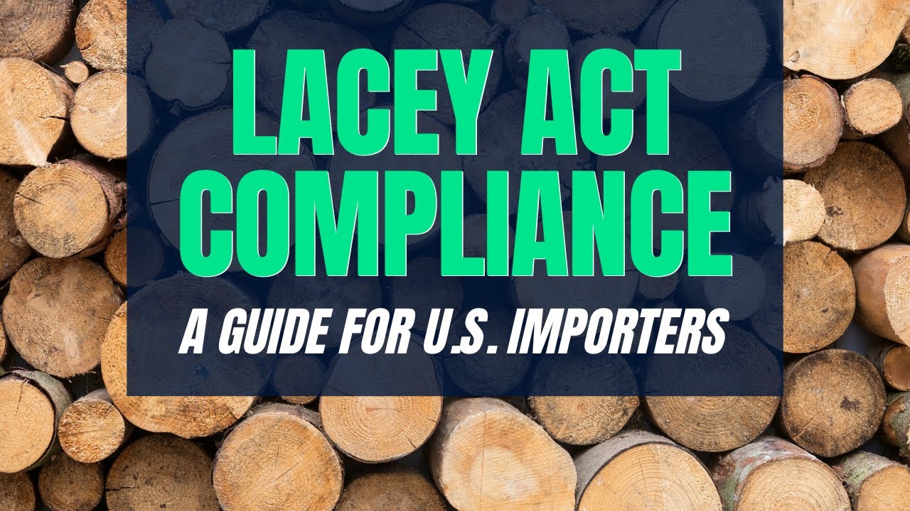 Lacey Act Compliance: 2025 Guide for Importers