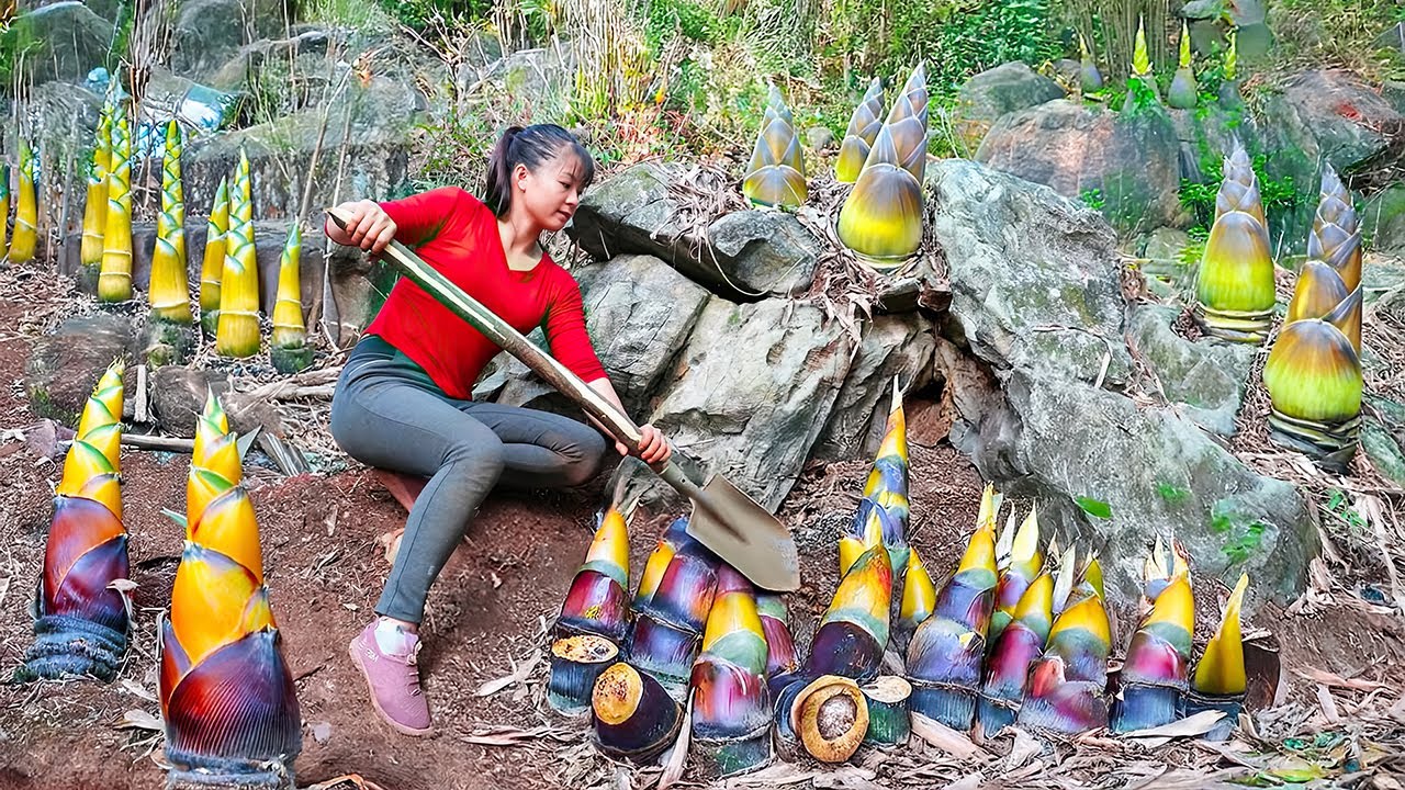 TIMELAPSE -- 222 Days Harvesting Many Bamboo Shoots, 1000+ Ducklings Hatching Go to Maket Sell