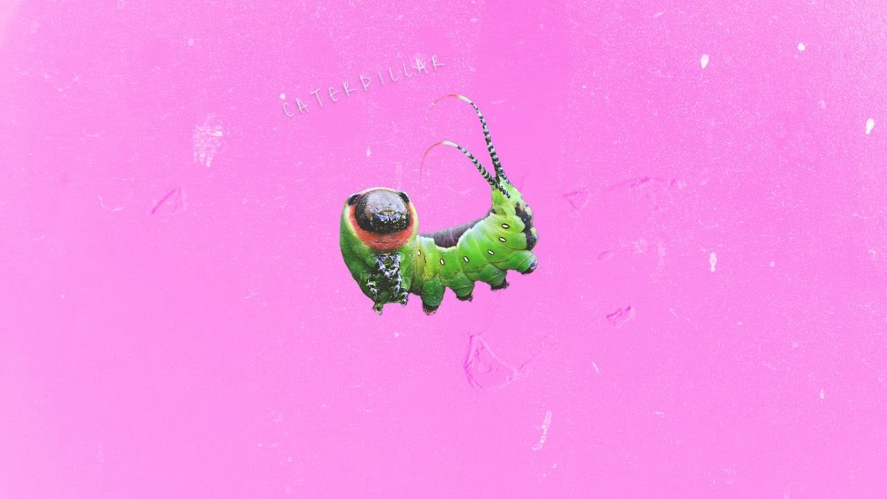 [FREE] Travis Scott type beat 