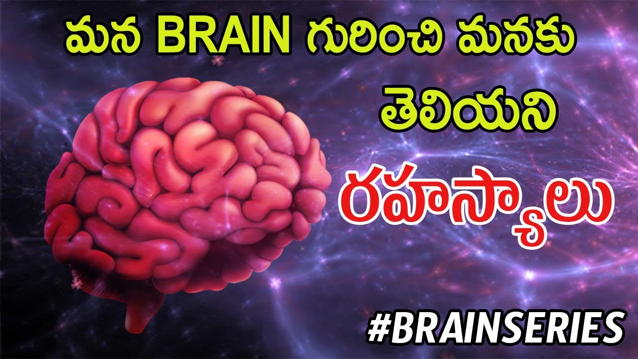 మన BRAIN యొక్క శక్తి సామర్థ్యాలు || Brain science || Neuroscience in telugu || #brainseries || #EP-1