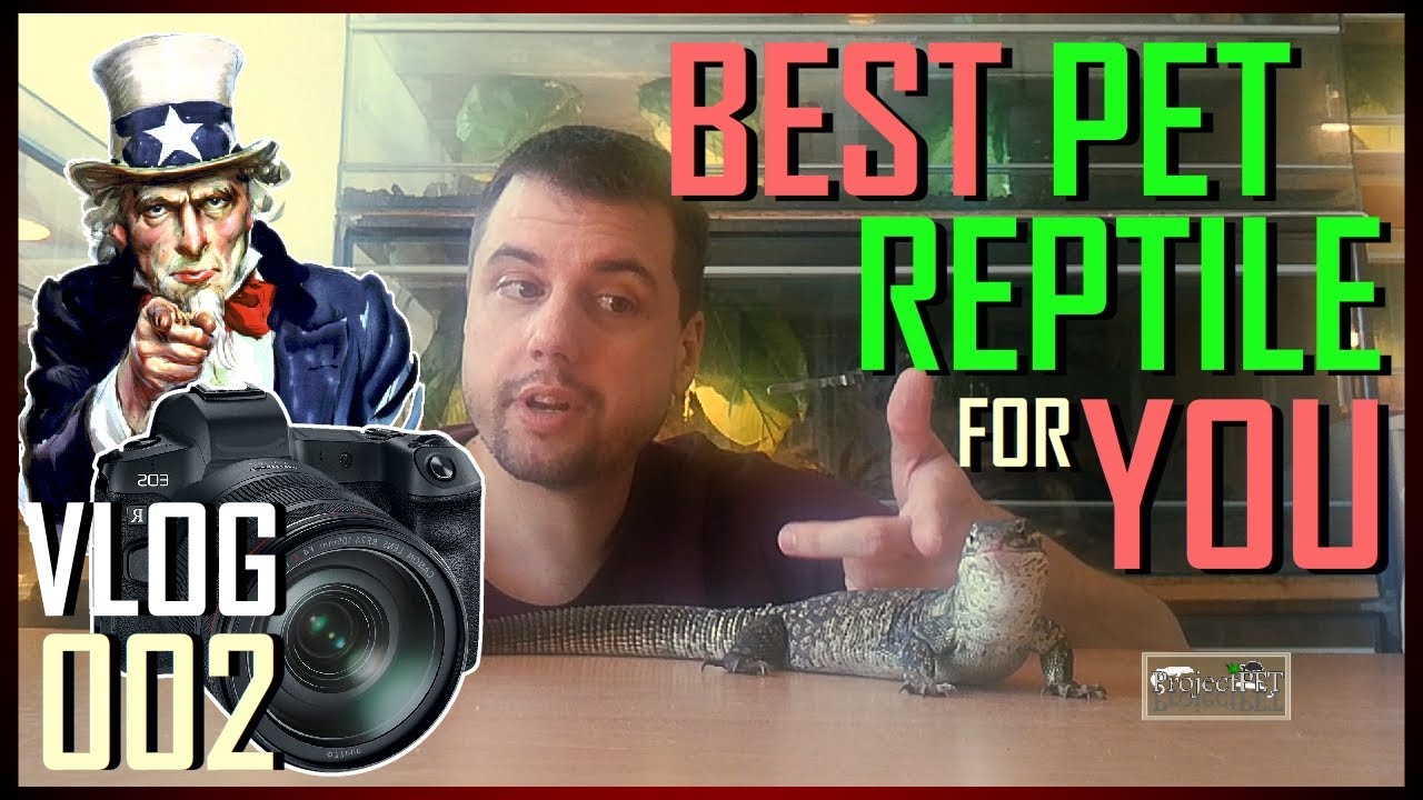 BEST PET REPTILE FOR YOU - How to choose guide | VLOG 002
