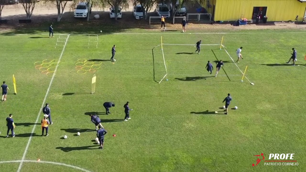 Circuito 4 estaciones (lucha, saltos, desplazamientos y acciones con balón)