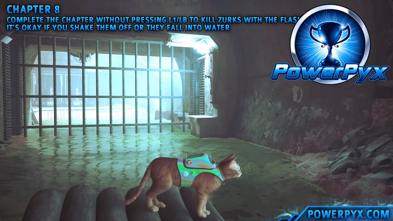 Stray - Pacifist Trophy / Achievement Guide