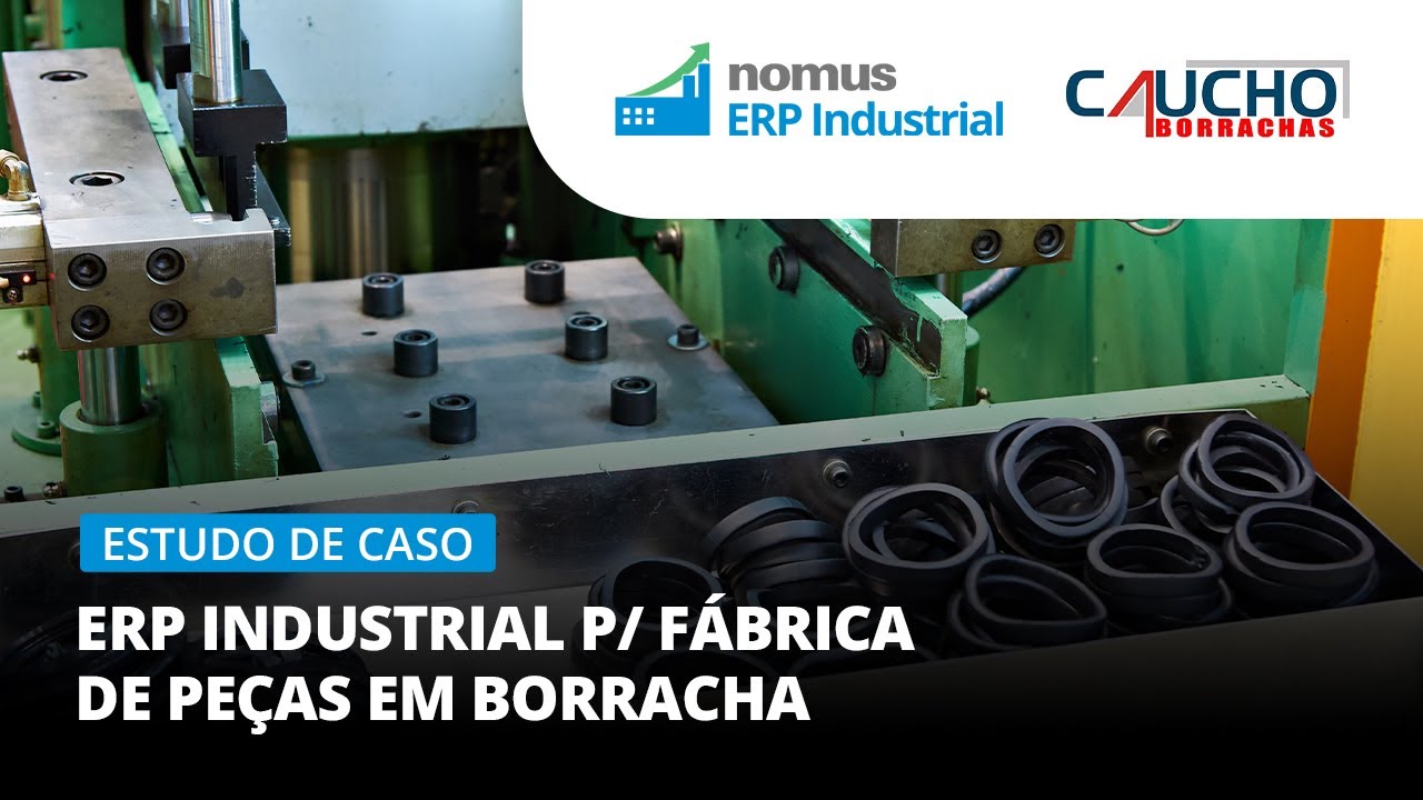 ERP na indústria de peças de borracha - Estudo de caso real