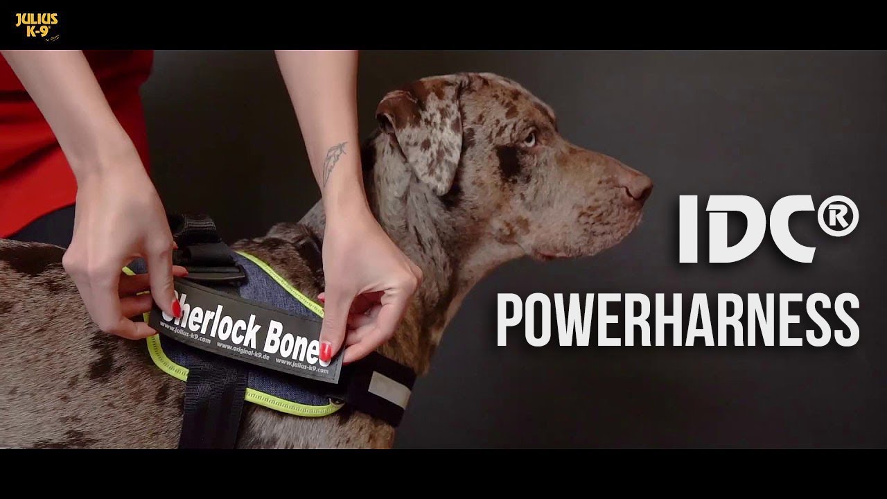 IDC&reg; Powerharness - Official Video /English US/
