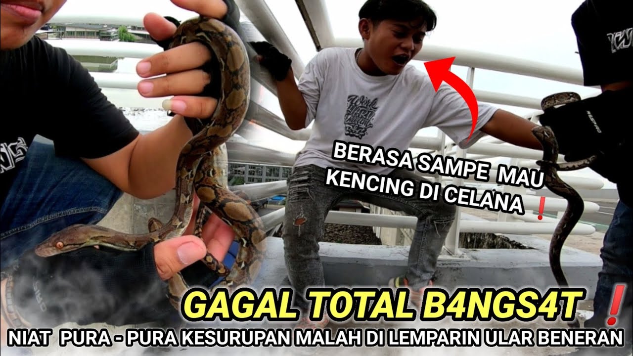 TOURING KE CINA MALAH KESURUPAN ❗SILUMAN ULAR