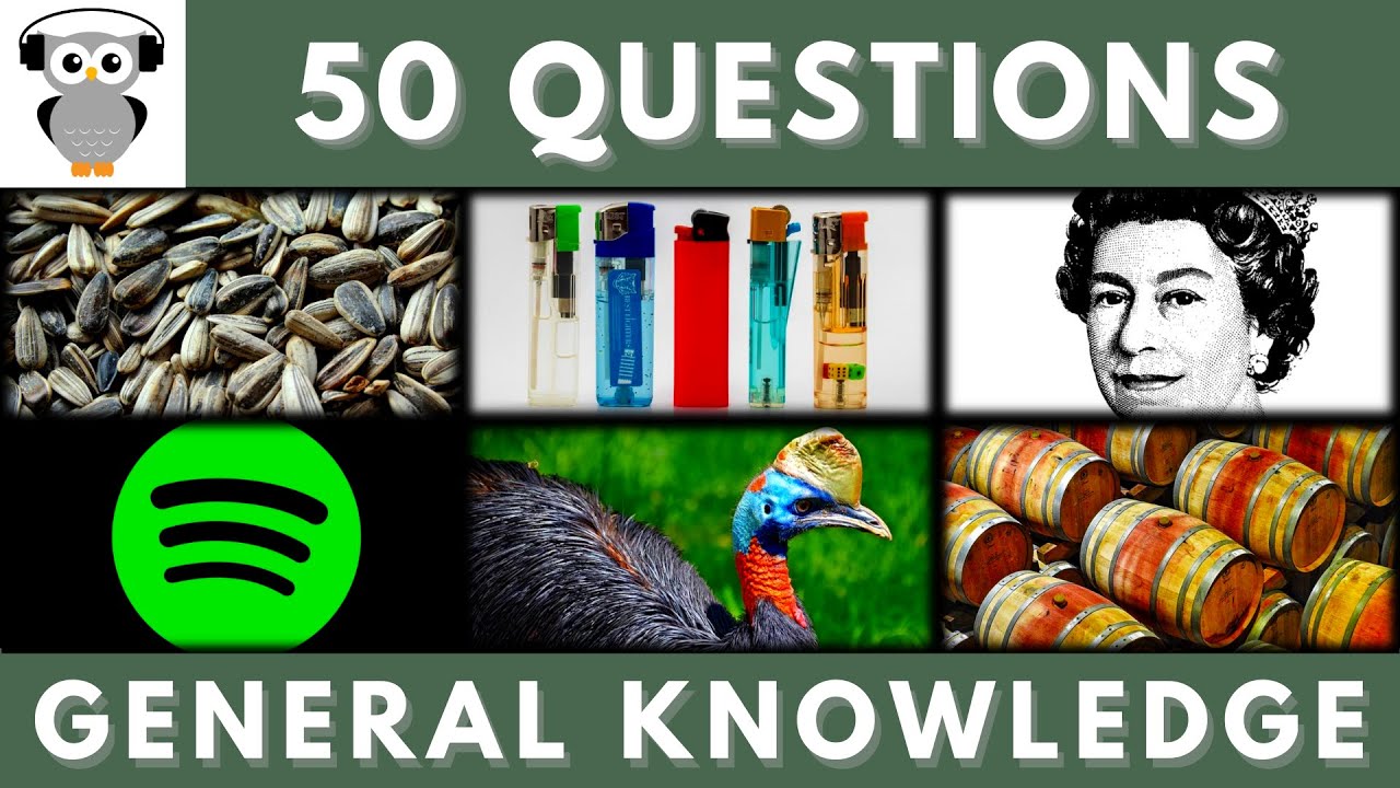 General Knowledge Quiz Trivia #91 | Sunflower Seeds, Cigarette Lighter Liquid, Spotify, Barrel Maker