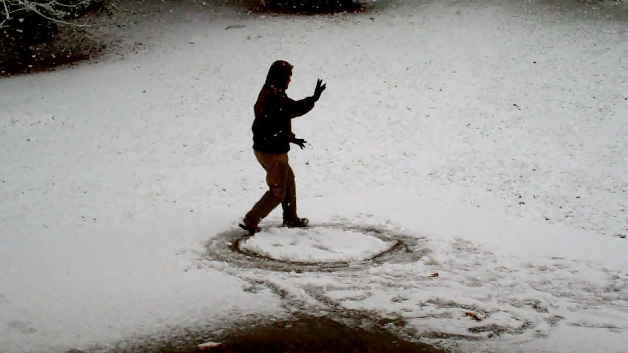 Full Circle~BaGua In The Snow~Gene Burnett & Victor Cummings
