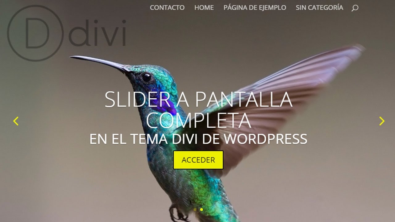 Carrusel a pantalla completa en Divi de WordPress. Fullscreen Slider