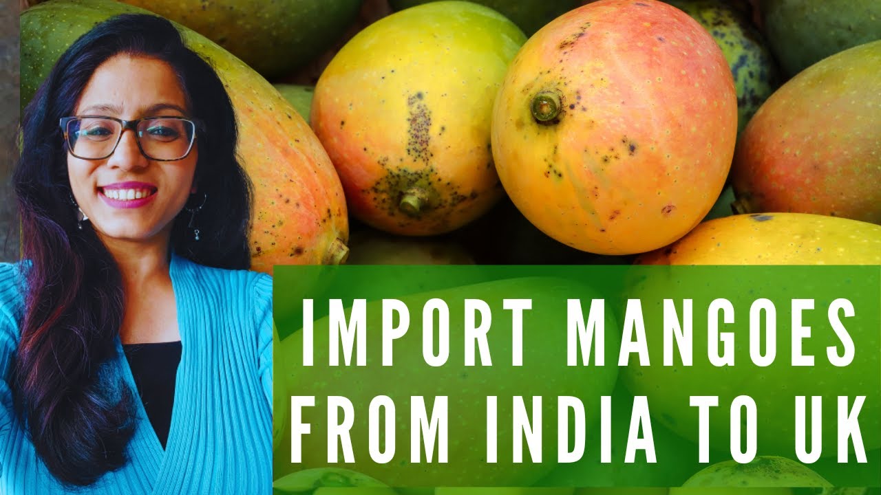 Import Mangoes from India into UK- THINGS TO KNOW!