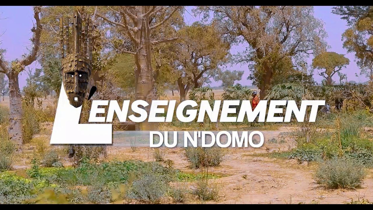 L'enseignement du N'domo