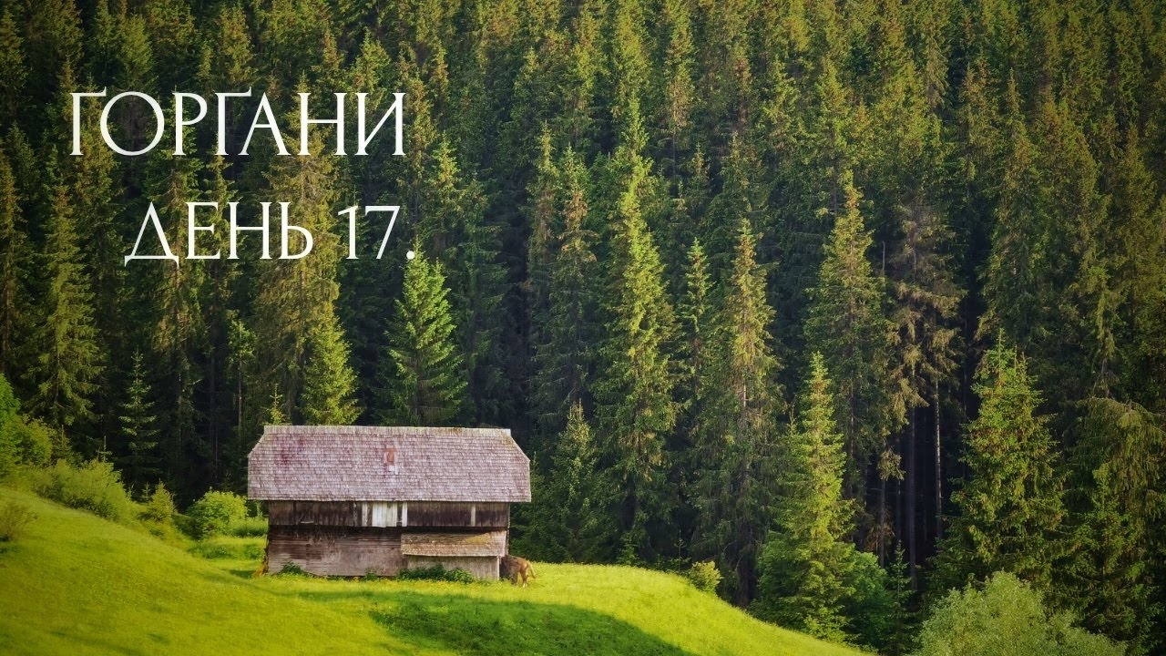 Похід Ґорґанами: Плісце, Ґрофа, став, Молода, Гичова, Свобода, Синевир. День 17. Карпати Червень 21