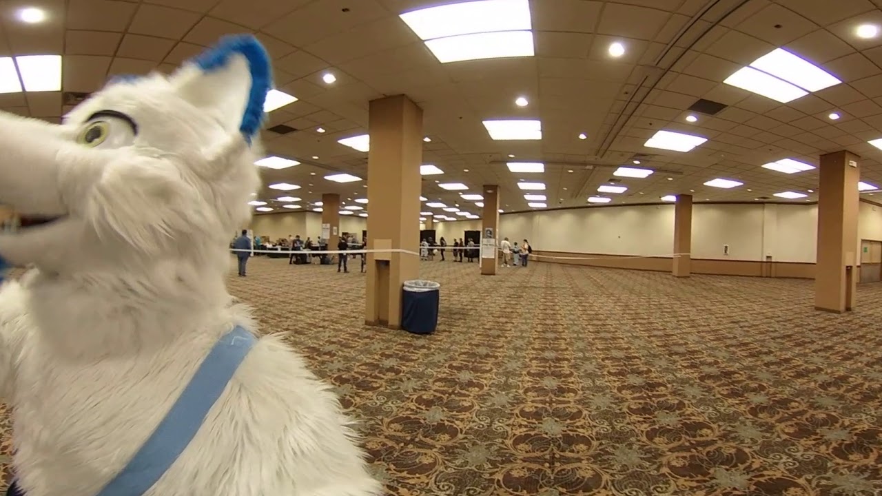 BLFC 2018 Day 0: Reg Lines