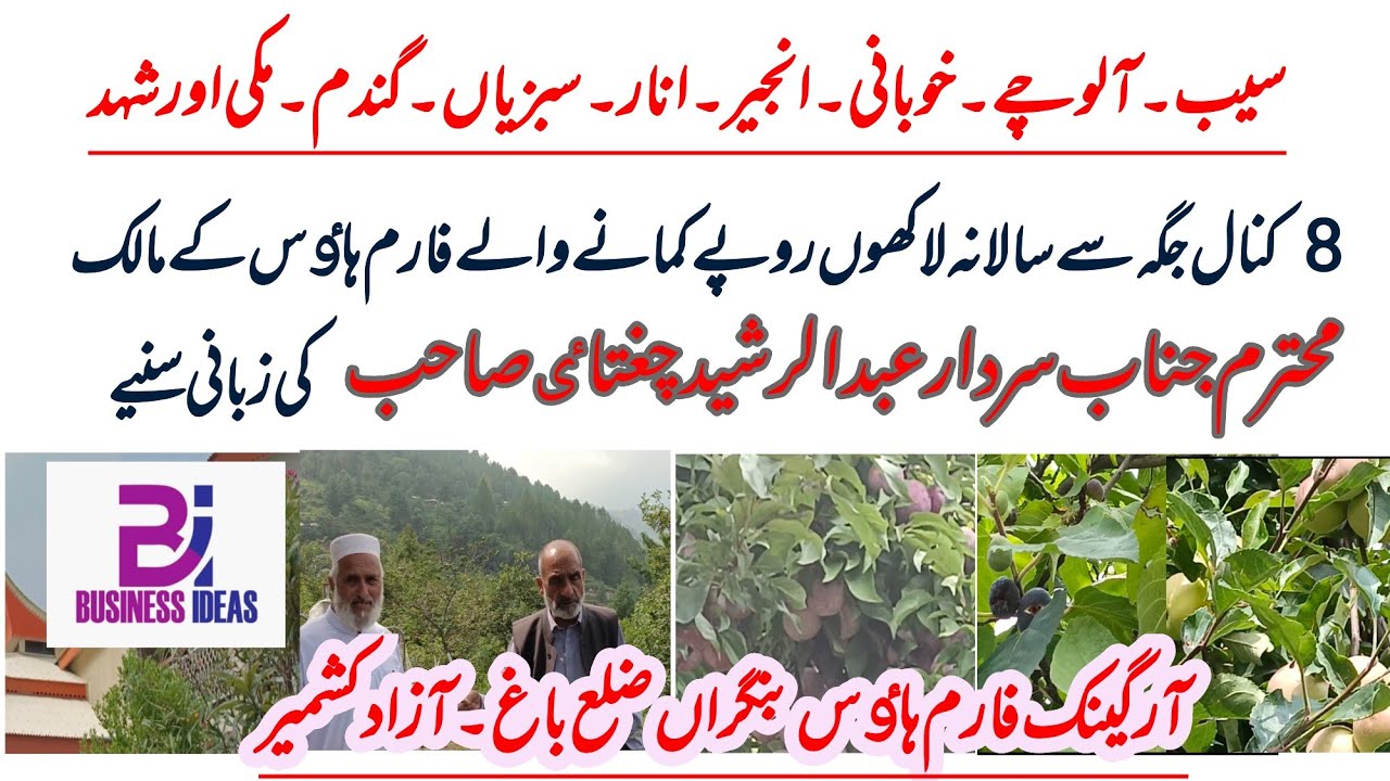 Small Business Ideas | Organic Form House Bangran Bagh AJK | #RNSBusinessIdeas | Vlog