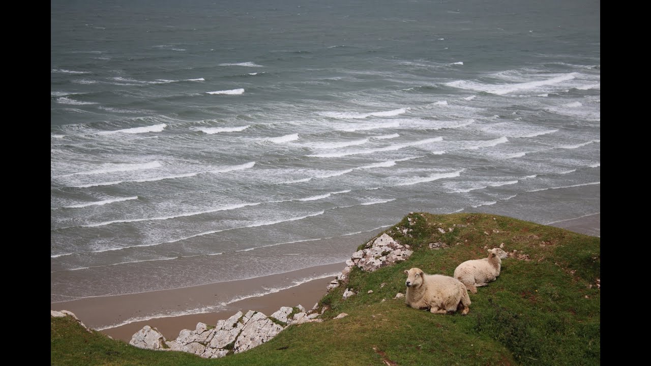 Fishing The Worms Head, Gower, South Wales, Dogged Out!