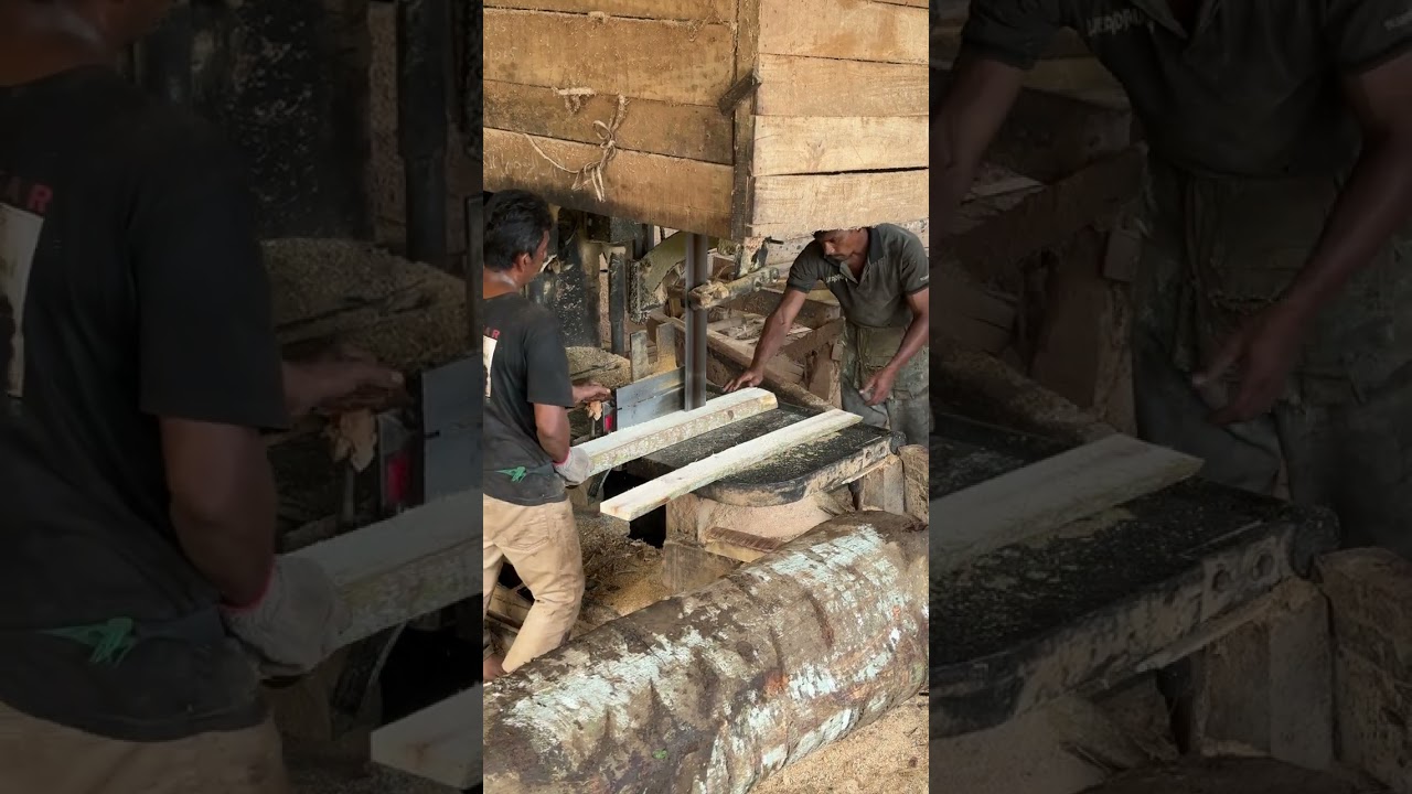 A Complete Guide to Cutting House Wood Using a Sawmill Machine